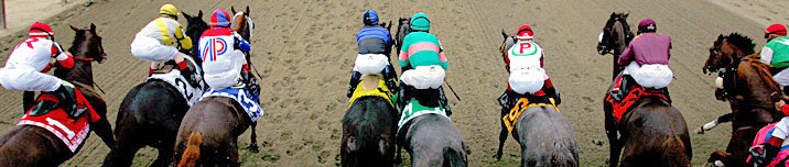 140th Belmont Stakes source:http://assets.espn.go.com/media/travel/2006/0425/photo/belmont740.jpg