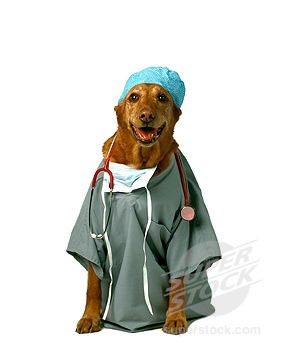 Introducin Dr. Doggie